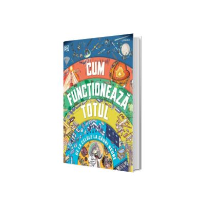 Cum functioneaza totul