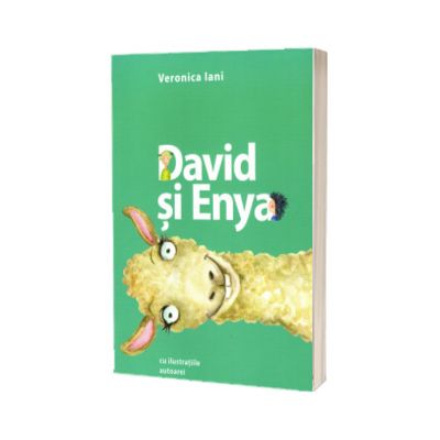 David si Enya