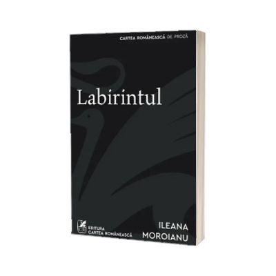 Labirintul