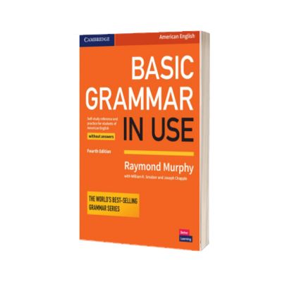 Basic Grammar in Use Studentțs Book without Answers