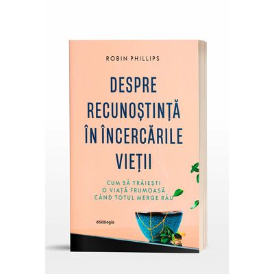 Despre recunostinta in incercarile vietii, cum sa traiesti o viata frumoasa cand totul merge rau