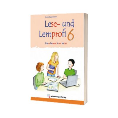 Lese- und Lernprofi 6 Schulerarbeitsheft silbierte Ausgabe Leseheft