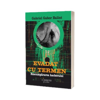 Evadat cu termen. Rascumpararea hackerului