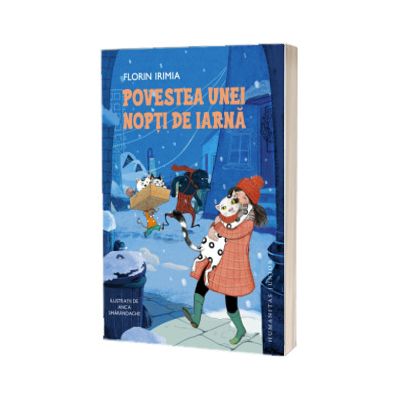 Povestea unei nopti de iarna