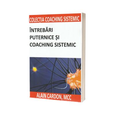 Intrebari puternice si coaching sistemic