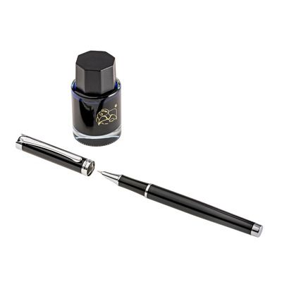 Set Stilou cu Calimara Picasso 698N