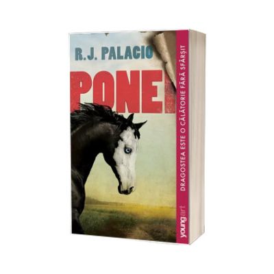 Ponei