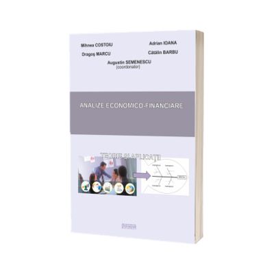 Analize economico-financiare. Teorie si aplicatii