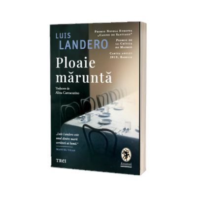 Ploaie marunta