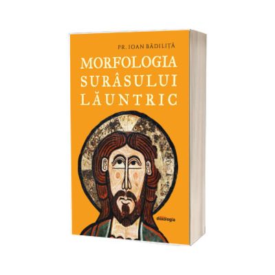 Morfologia surasului launtric