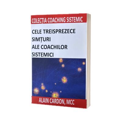 Cele treisprezece simturi ale coachilor sistemici