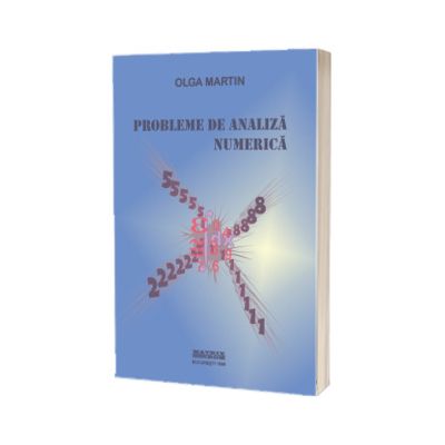 Probleme de analiza numerica